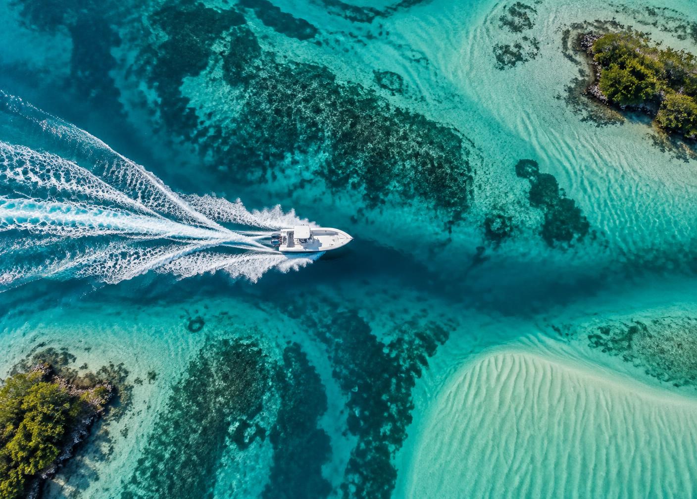 Coastal Altitude
